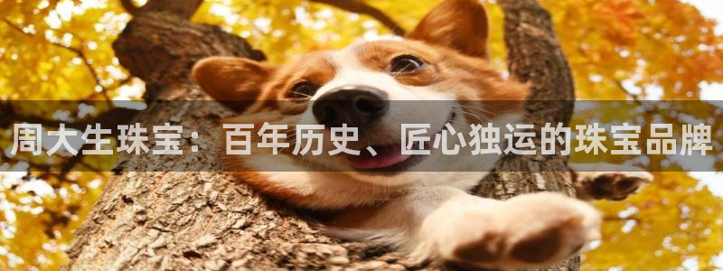 新航娱乐公司招聘电话