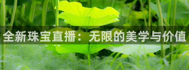 新航娱乐官方