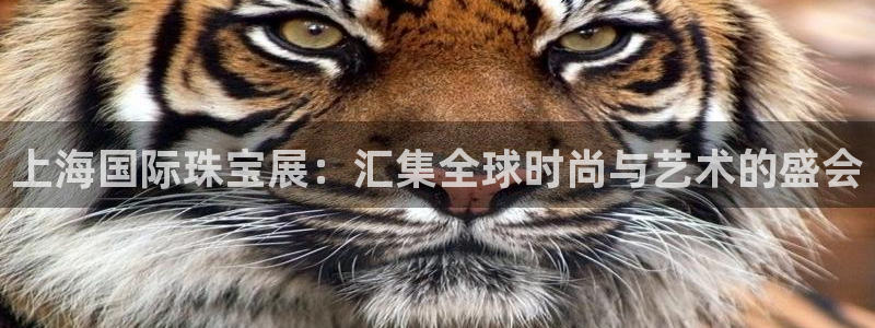 新航海娱乐会所电话是多少