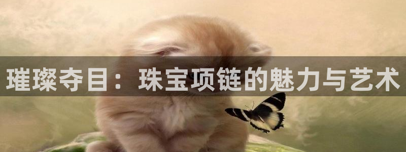 新航娱乐平台登录入口