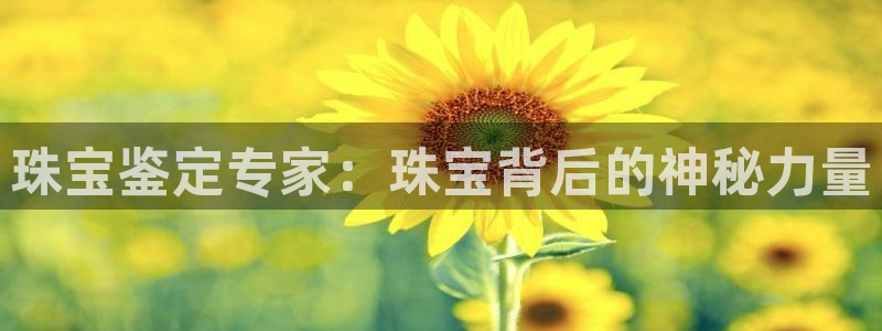 新航娱乐公司地址
