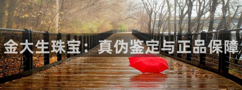 萧山娱乐新航母阿里巴巴