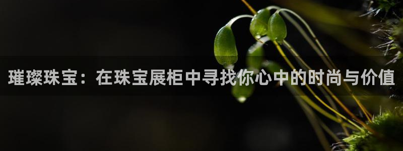 新航娱乐公司招聘信息