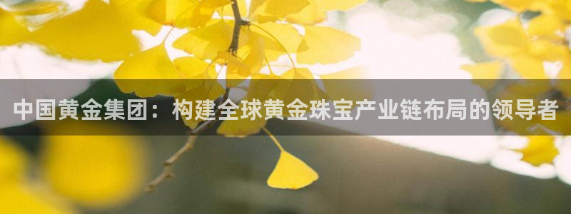 新航娱乐公司怎么样知乎