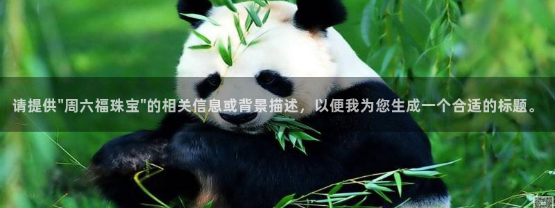 新航线娱乐