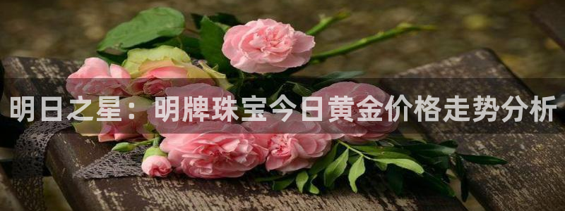 新航新客舱机上娱乐银