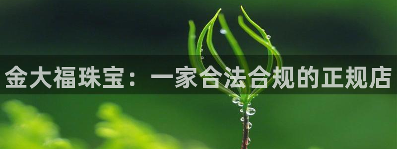新航娱乐官方首页