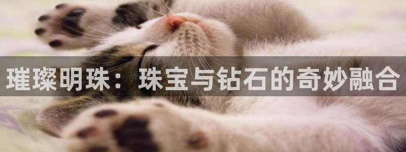 萧山娱乐新航母阿里巴巴