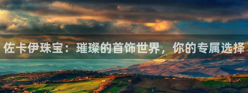 新航娱乐公司