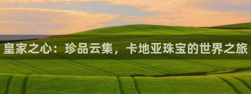 新航娱乐app下载安卓