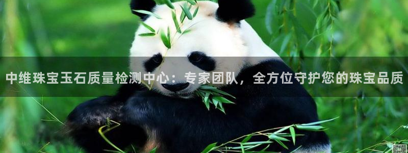 新航娱乐app官方下载：中维珠宝玉石质量检测中心：专家团队，