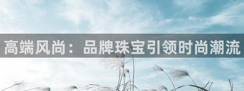 新航娱乐公司问题分析