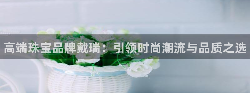 新航娱乐公司问题分析