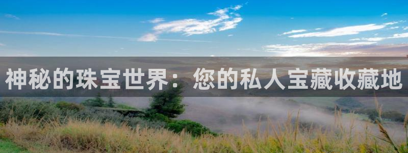 新航娱乐设施