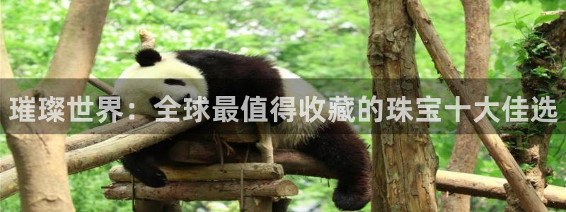 新航娱乐app下载安装