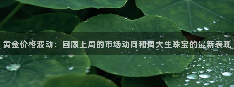 新航娱乐有方法开挂吗