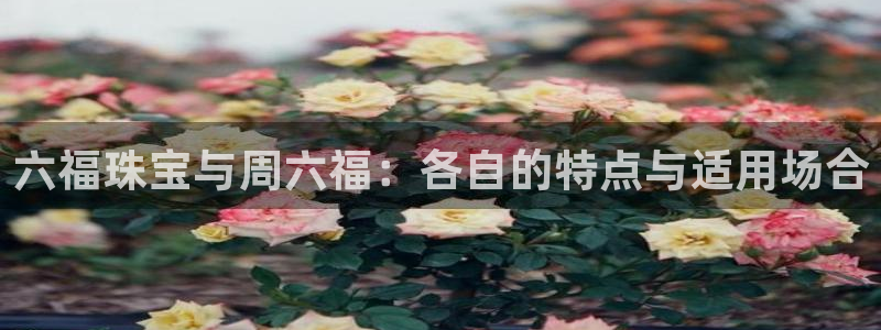 新航娱乐q：六福珠宝与周六福：各自的特点与适用场合