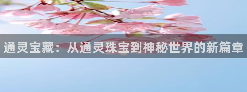 新航文化娱乐传媒招聘