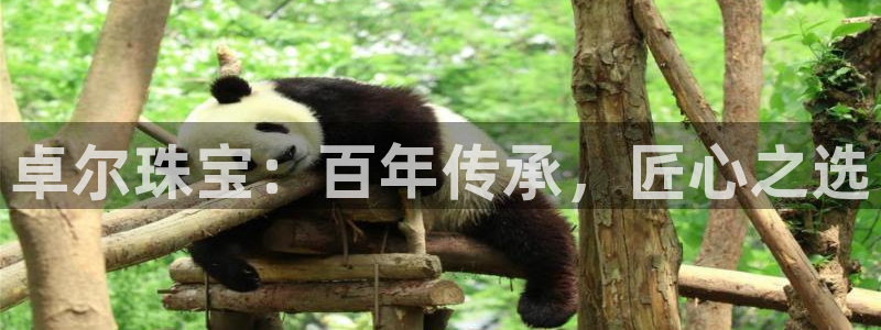 新航娱乐是干嘛的：卓尔珠宝：百年传承，匠心之选