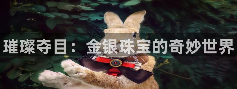 新航娱乐客服电话：璀璨夺目：金银珠宝的奇妙世界