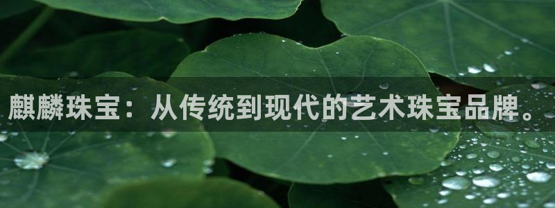 新航娱乐登陆