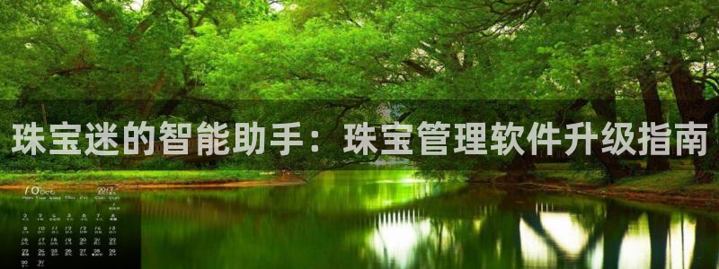 新航娱乐管理有限公司：珠宝迷的智能助手：珠宝管理软件升级指南