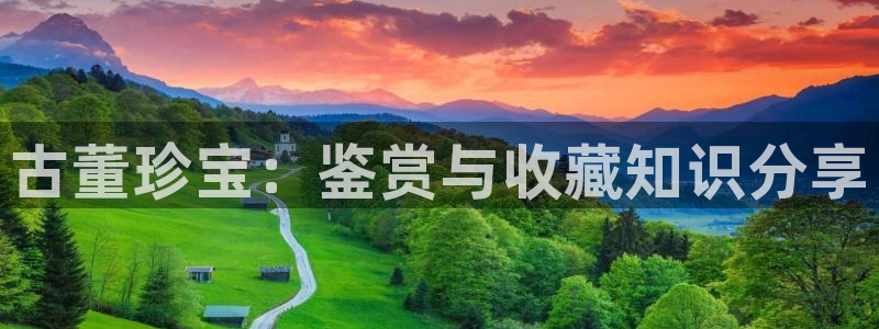 新航娱乐公司问题分析：古董珍宝：鉴赏与收藏知识分享