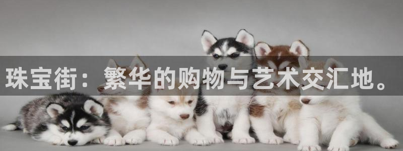 新航娱乐入新航娱乐怎么样