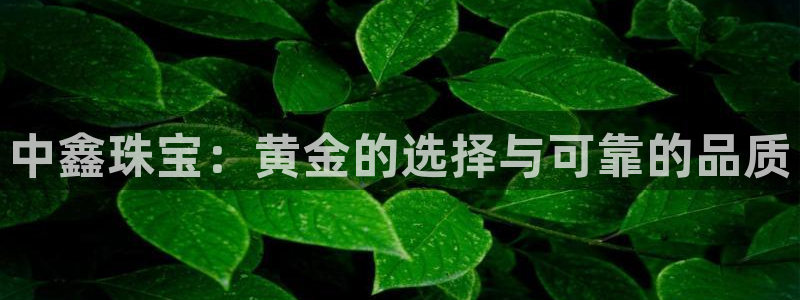 新航娱乐官方首页