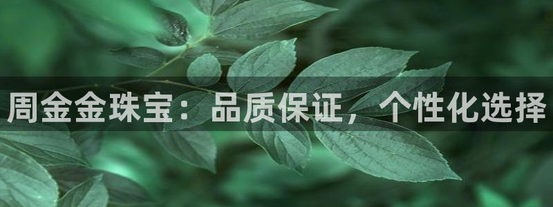 新航文化娱乐传媒招聘