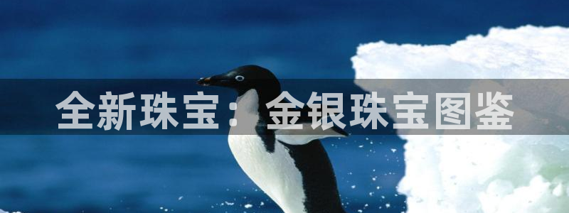 德阳娱乐城最新航拍