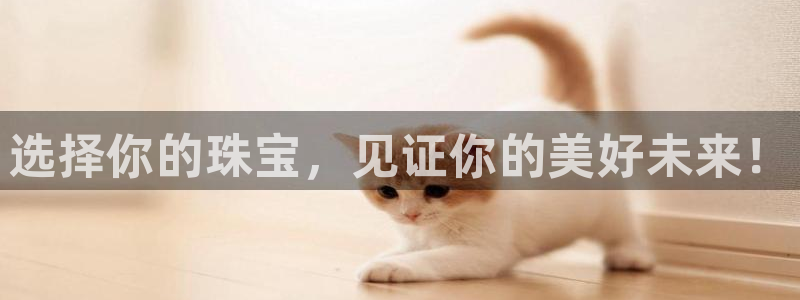 新航娱乐官网地址：选择你的珠宝，见证你的美好未来！