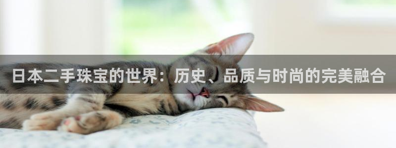 新航娱乐最新消息