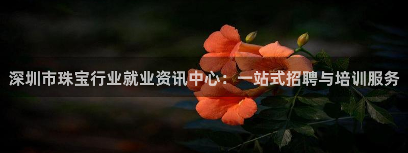 新航娱乐q被骗