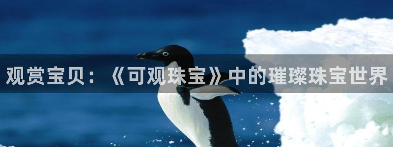 新航线娱乐