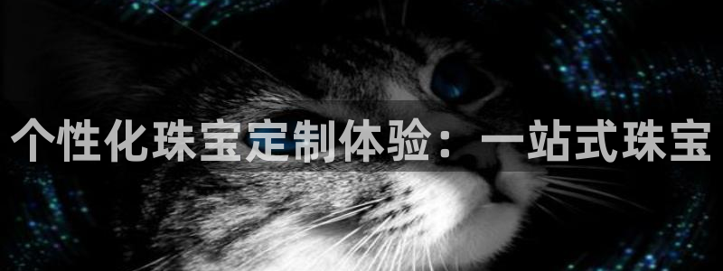 新航娱乐公司怎么样