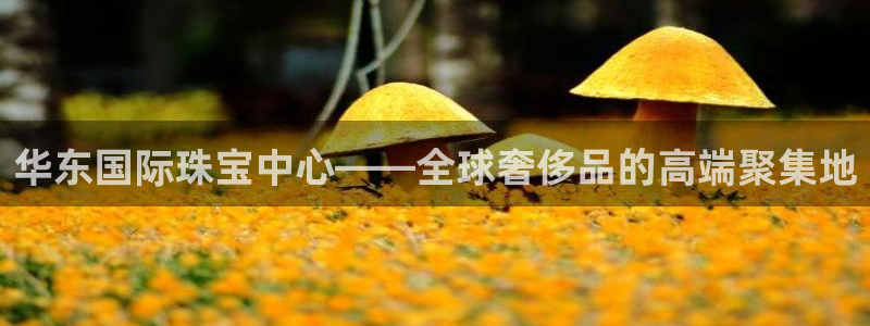 新航娱乐是正规平台吗