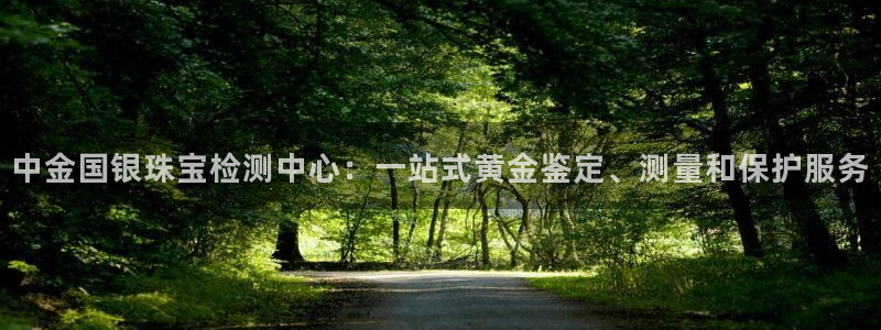 新航娱乐公司地址在哪里