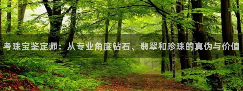 新航娱乐登录大厅