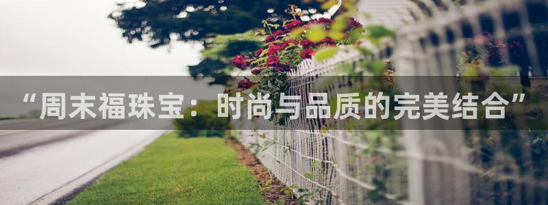 新航飞机椅背娱乐设备