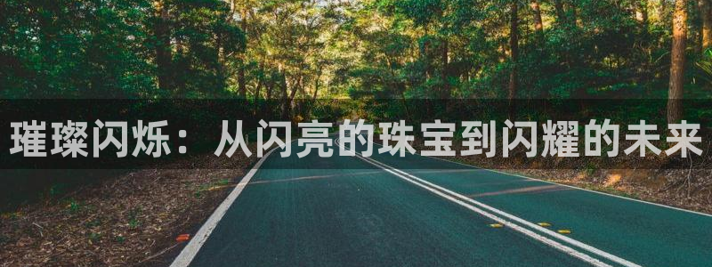 新航sq806娱乐系统