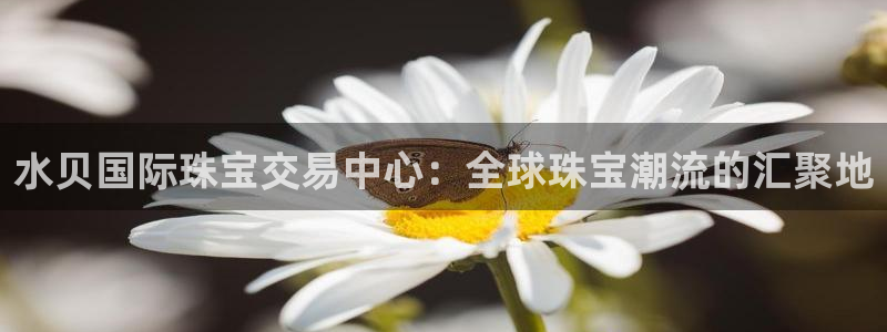 萧山娱乐新航母阿里巴巴