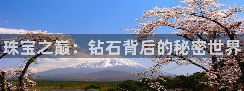 新航娱乐平台官网