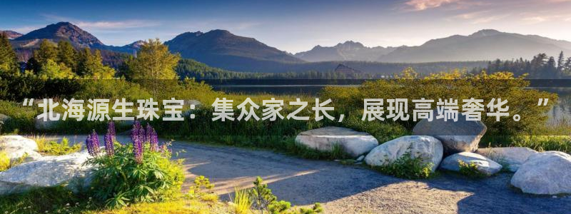 新航娱乐入网要求