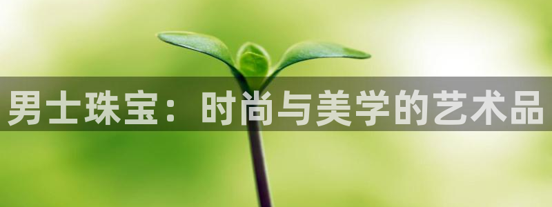 新航面试娱乐
