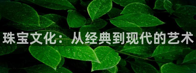 娱乐新航母