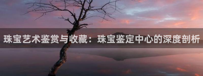 娱乐新航向