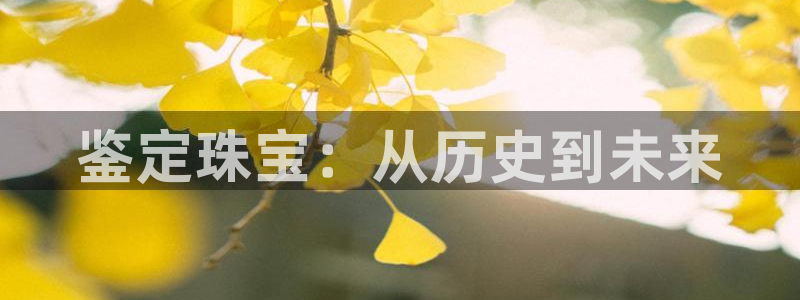 新航娱乐的创始人背景：鉴定珠宝：从历史到未来