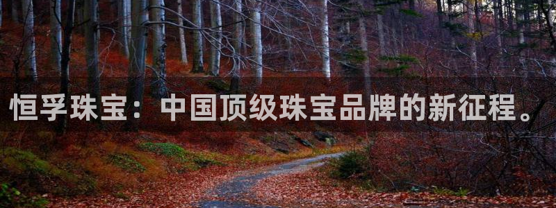 新航娱乐传媒招聘信息