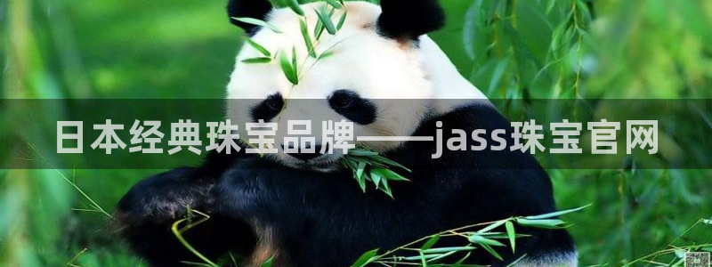 新航娱乐入网要求